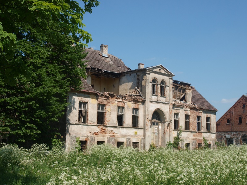 Plik:P5212378.JPG