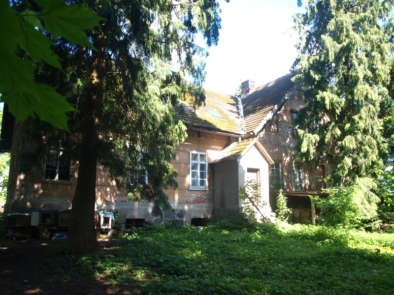 Plik:P5232769.JPG